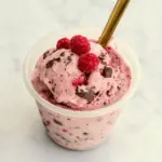 Raspberry Dark Chocolate Kefir Protein Ice Cream