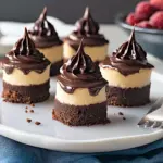 Mini Chocolate Cheesecake